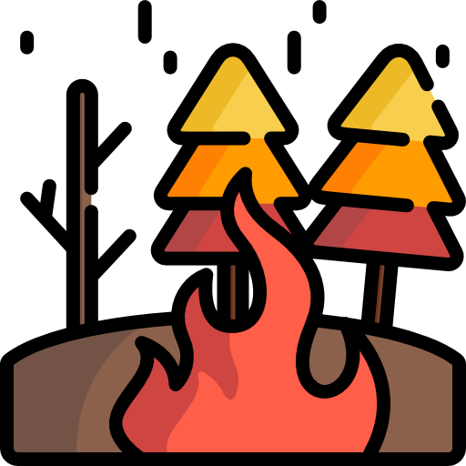 Wildfire
